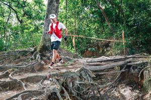 BIB: 
                            <button type="button" onclick="openModal(27720604)" class="btn btn-primary btn-sm float-right btn-popup" data-toggle="modal" data-target=".modal-high-quality">
                        <i class="fas fa-shopping-cart"></i> Add to Cart
                    </button>
                                            <button type="button" onclick="isThisMe(27720604, true)" class="btn btn-success btn-sm float-right btn-popup btn-isme hidden" data-toggle="tooltip" data-placement="bottom" title="นี่คือรูปของคุณใช่ไหม คลิกที่นี่เพื่อเอาเข้าอัลบั้ม">
                        <i class="fas fa-plus"></i> Add to album
                    </button>
                    <button type="button" onclick="isThisMe(27720604, false)" class="btn btn-warning btn-sm float-right btn-popup btn-isnotme hidden">
                        <i class="fas fa-ban"></i> Remove from album
                    </button>